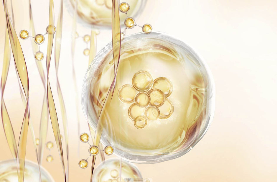 Growth Factors in Skin Renewal: How Vie Collection EGF Amplifies Microneedling and Energy Device Treatments