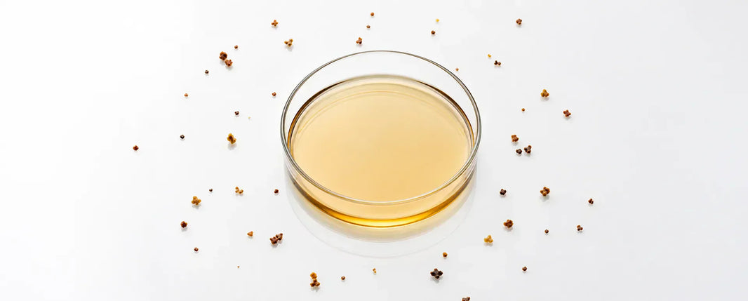 Propolis: The Golden Bee Glue