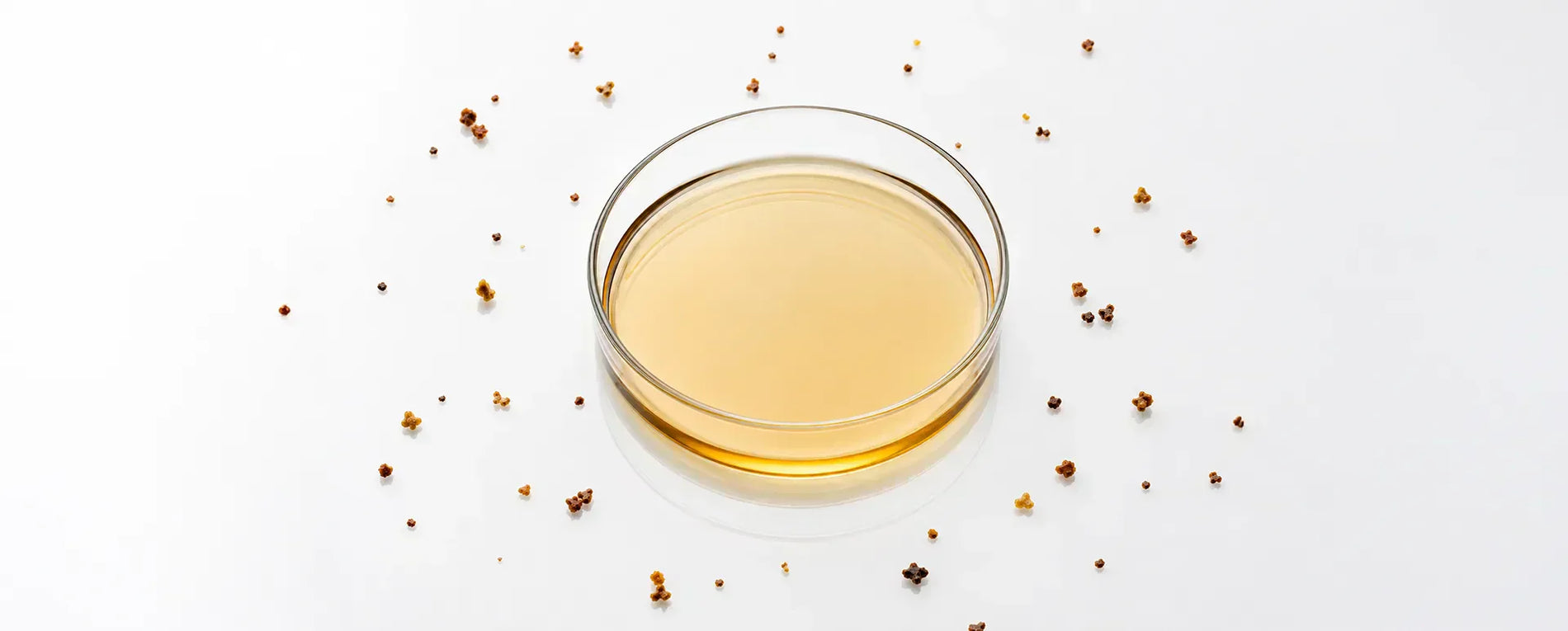 Propolis: The Golden Bee Glue