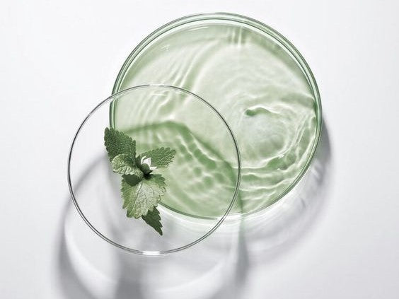 The Intelligence of Natural Skin Care Ingredients: Nature's Superior Formulations