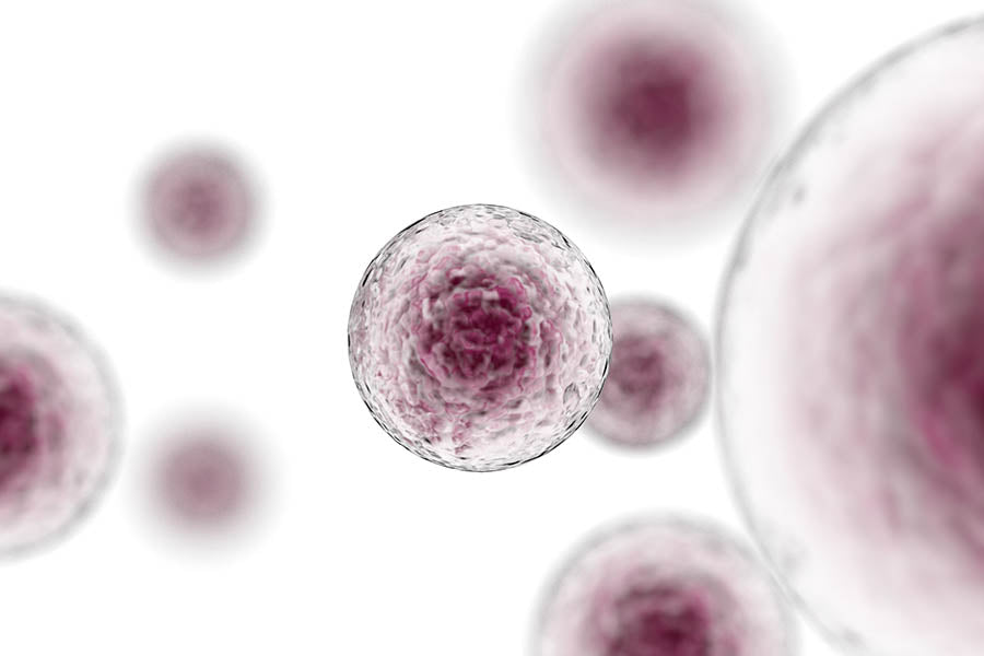 The Truth about Stem Cells Skin Care