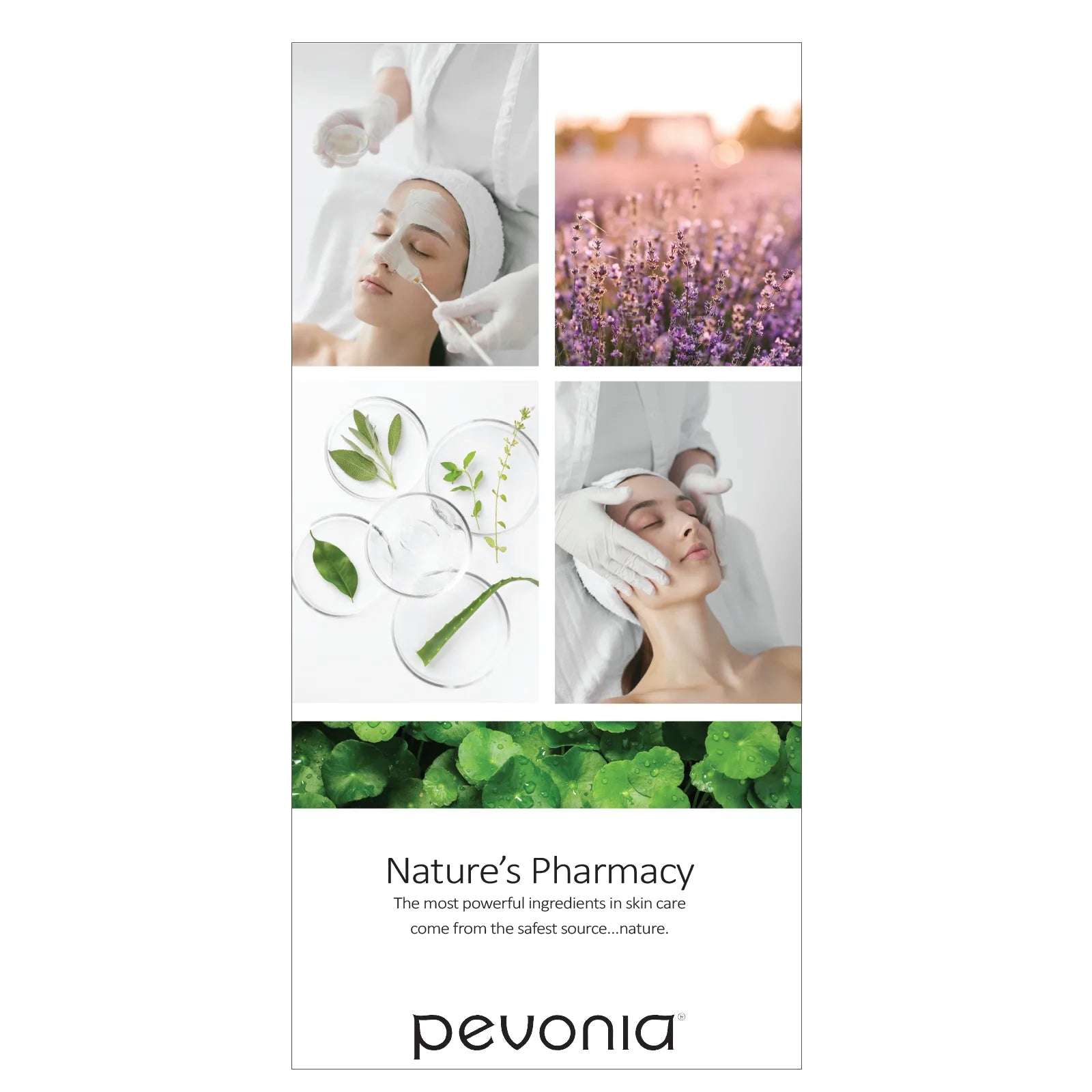 Hanging Banner - Pevonia Essential Line (63cm x 130cm)