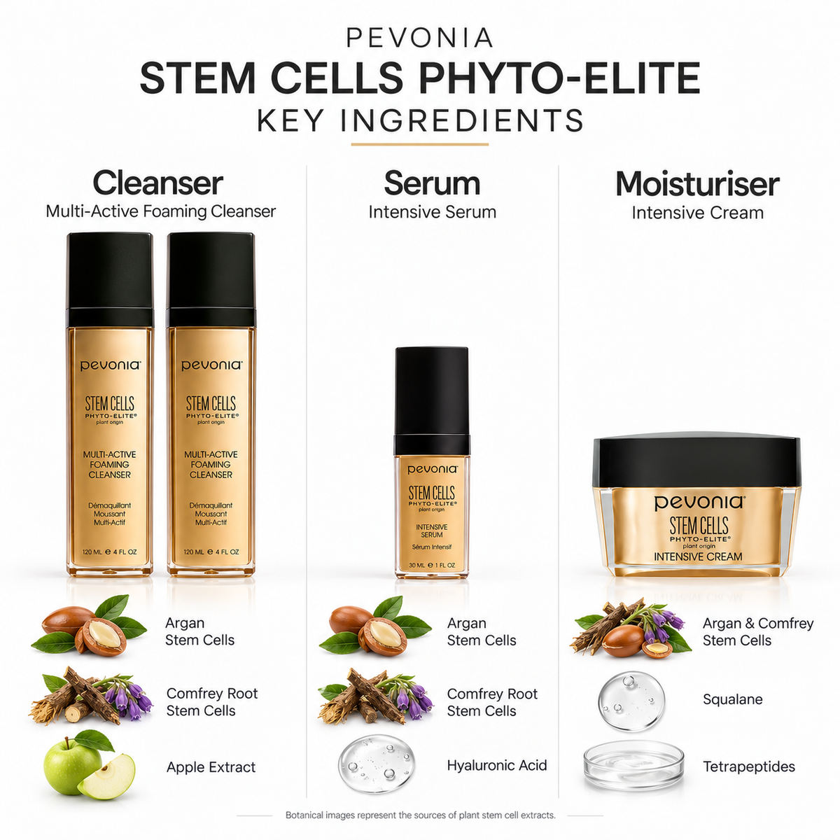 Stem Cells Rejuvenation Gift Set - Ingredients List