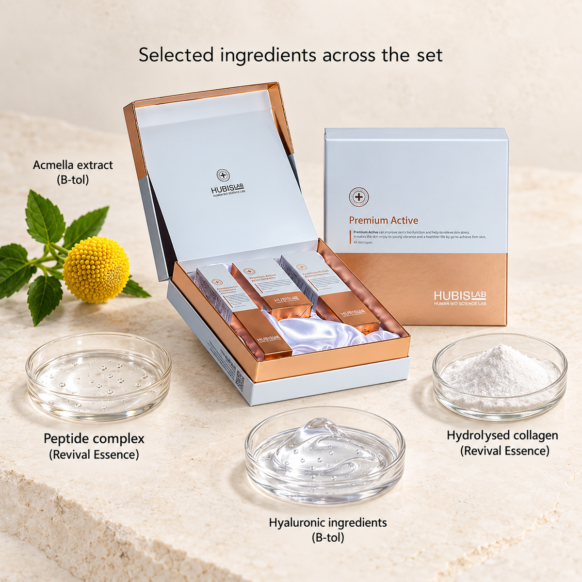 Hubislab Premium Active Set with labelled representations of selected ingredients.