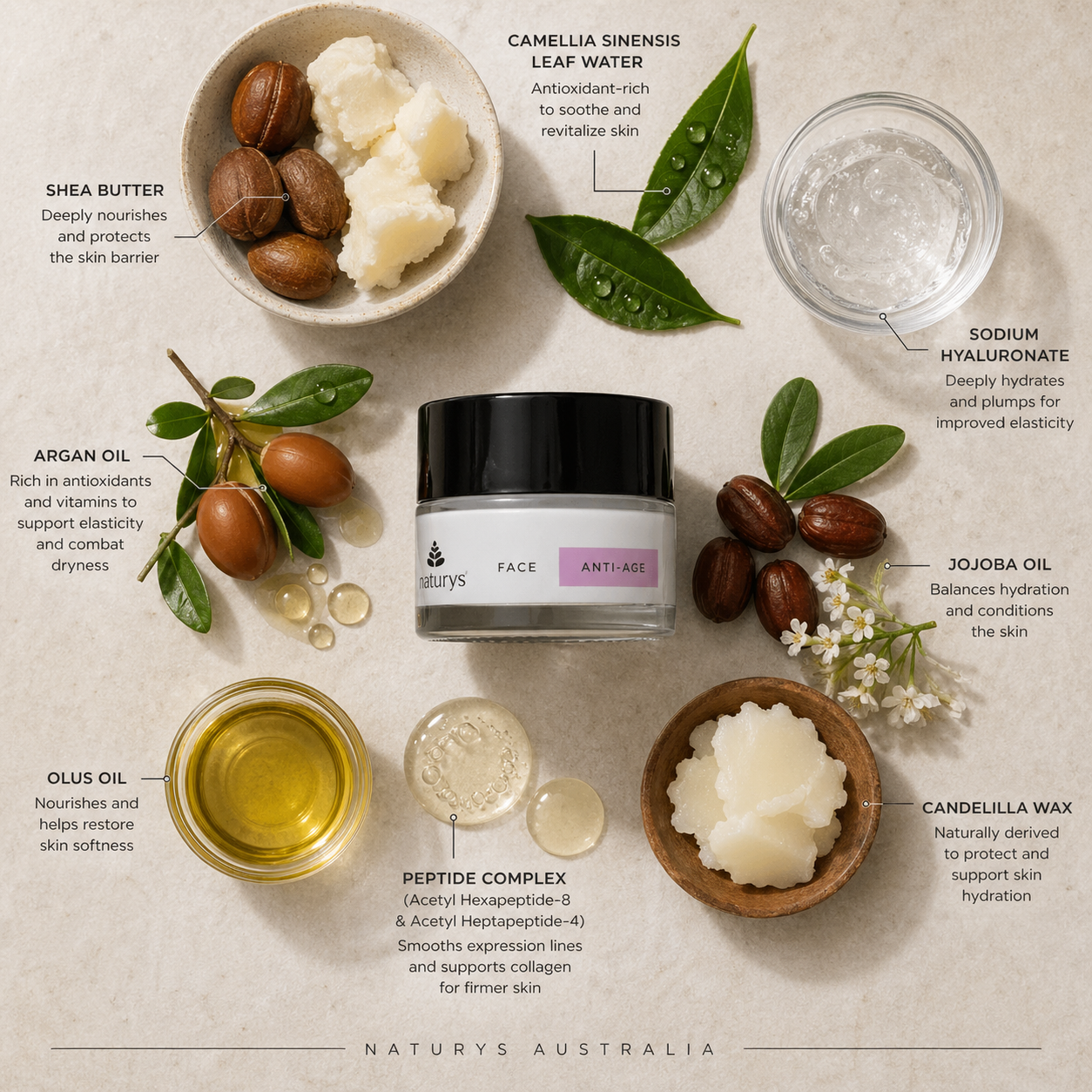 Flat lay of Naturys Anti-Age No Age Rich Cream with key ingredients including peptide complex, hyaluronic acid, shea butter, argan oil and jojoba oil arranged around the product in a clean skincare composition