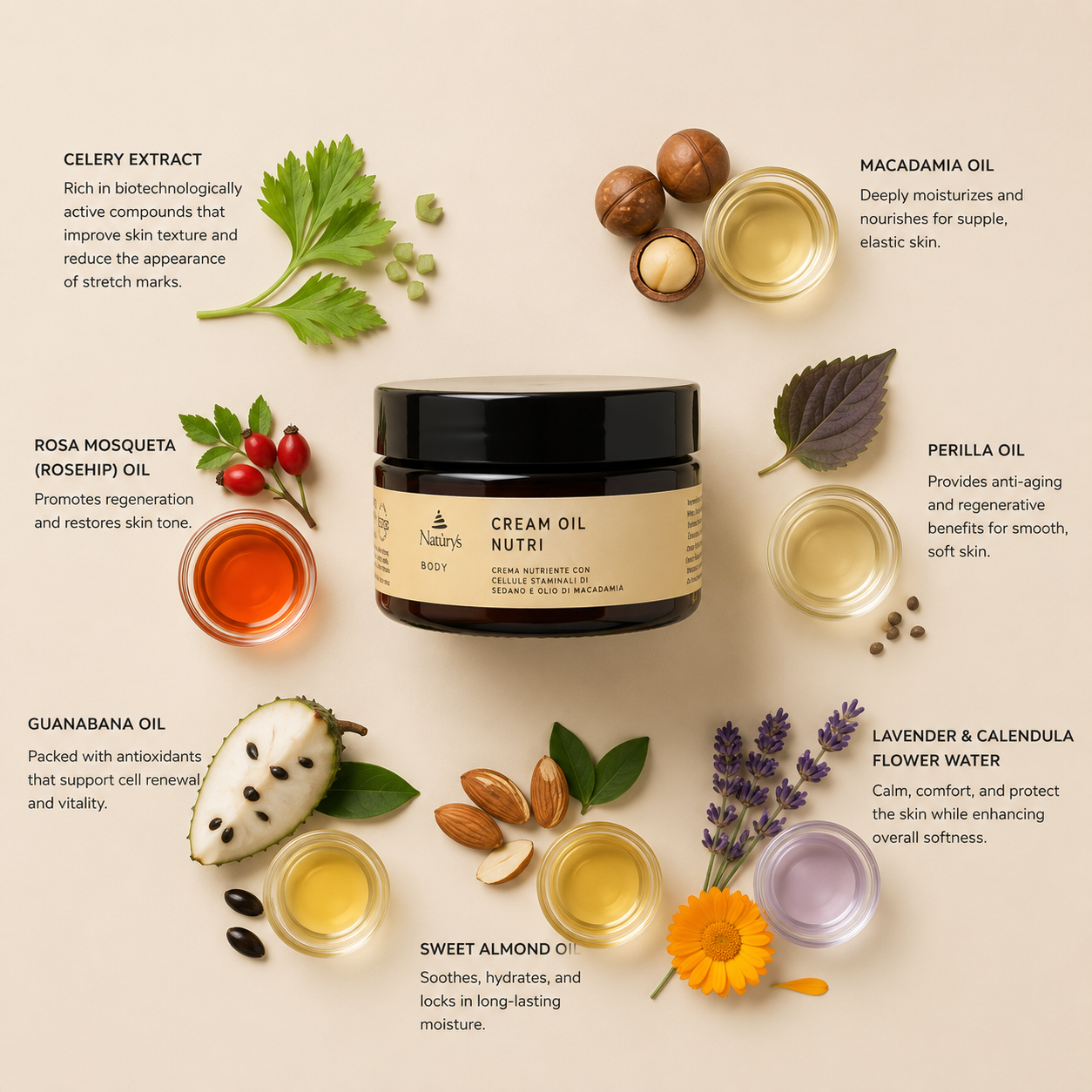 “Minimal NATURYS Body Cream Oil Nutri ingredient flatlay featuring celery extract, macadamia oil, rosa mosqueta (rosehip) oil, perilla oil, guanabana oil, sweet almond oil, and lavender and calendula flower water arranged elegantly around the product with refined botanical spa styling on a soft warm neutral background