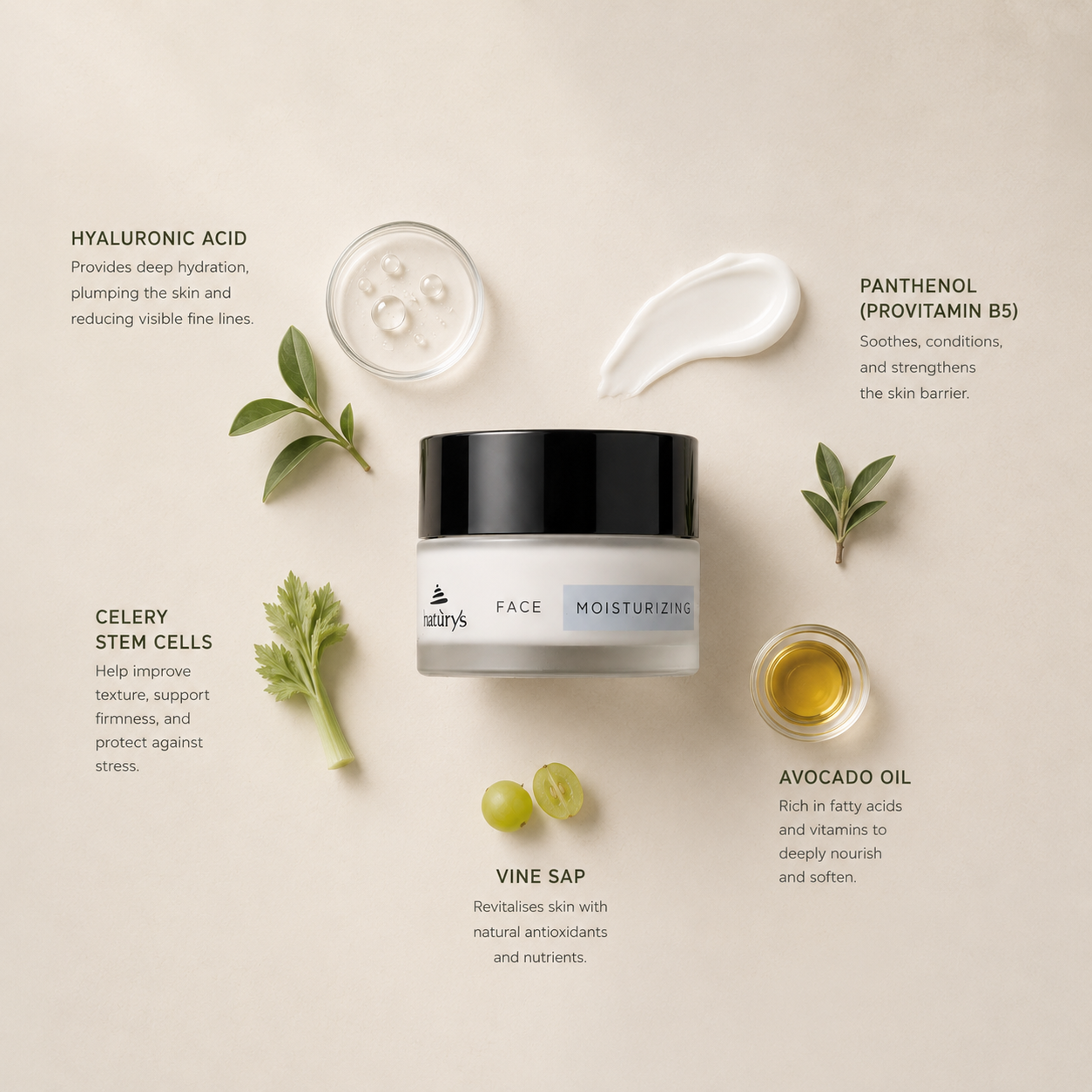 “Minimal NATURYS Moisturising Hydra Cream 24H ingredient flatlay featuring hyaluronic acid, panthenol (provitamin B5), celery stem cells, avocado oil, and vine sap arranged elegantly around the product with refined botanical spa styling on a soft neutral background