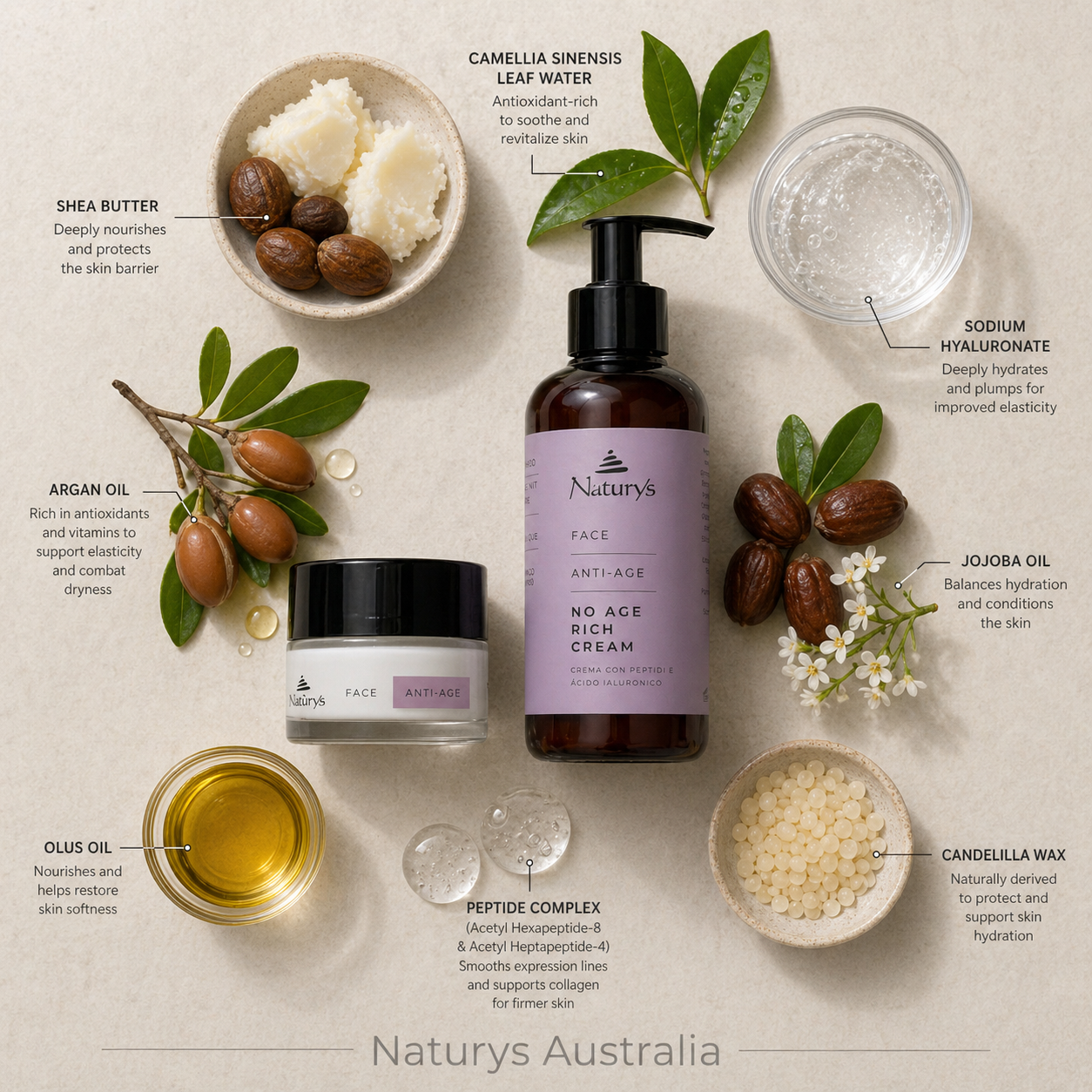 Naturys Anti-Age No Age Rich Cream jar and 250ml pump bottle ingredient flatlay with shea butter, argan oil, jojoba oil, sodium hyaluronate, peptide complex and camellia leaf water on beige background with Naturys Australia watermark