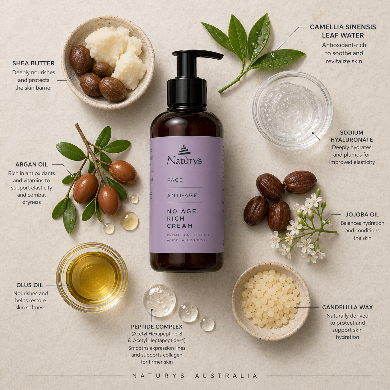 Naturys Anti-Age No Age Rich Cream 250ml ingredient flatlay with shea butter, argan oil, jojoba oil, sodium hyaluronate, peptide complex and camellia leaf water on beige background with Naturys Australia watermark