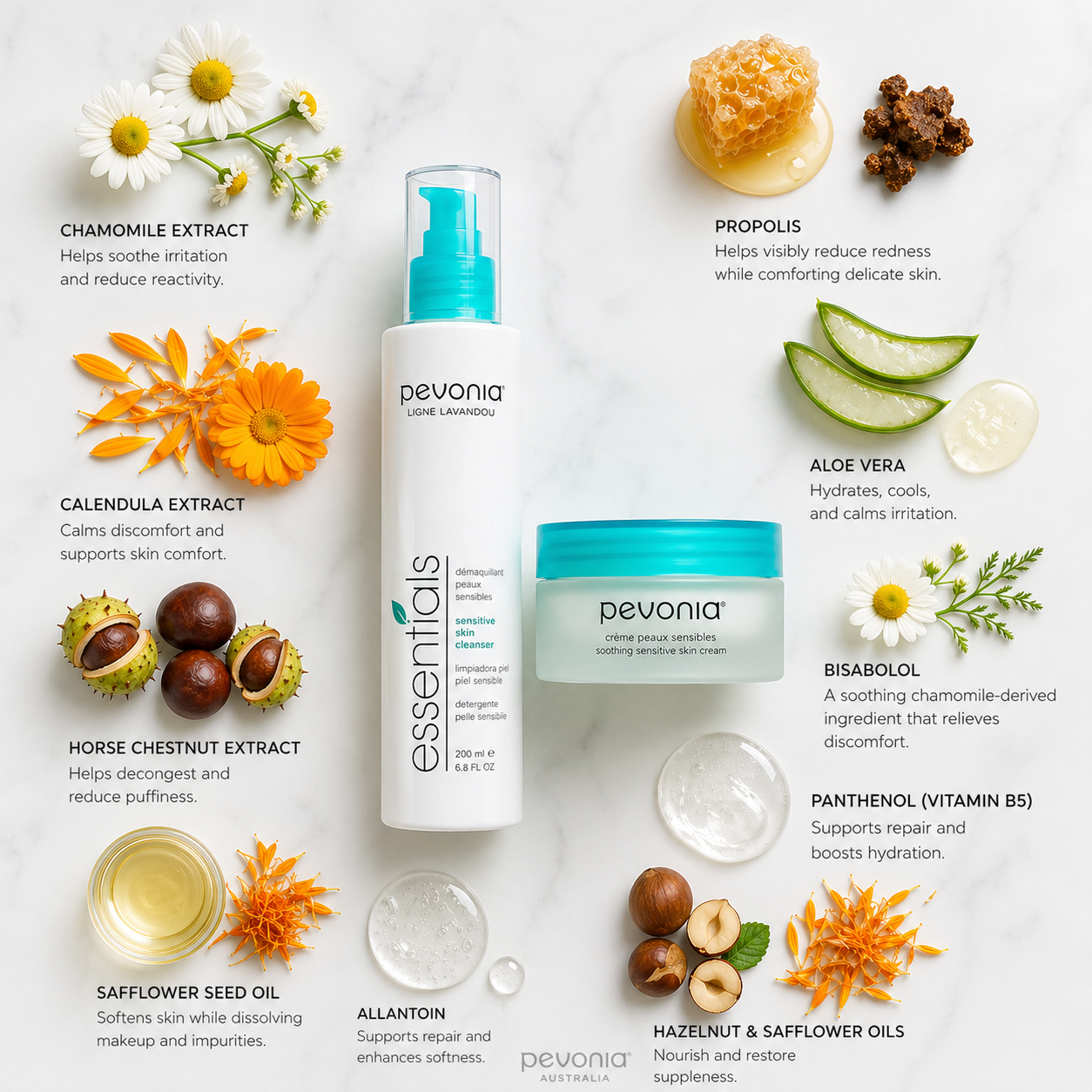 Pevonia Sensitive Skin Cleanser and Soothing Sensitive Skin Cream ingredient flatlay featuring chamomile extract, calendula extract, aloe vera, propolis, bisabolol, panthenol, safflower seed oil, allantoin and hazelnut oil