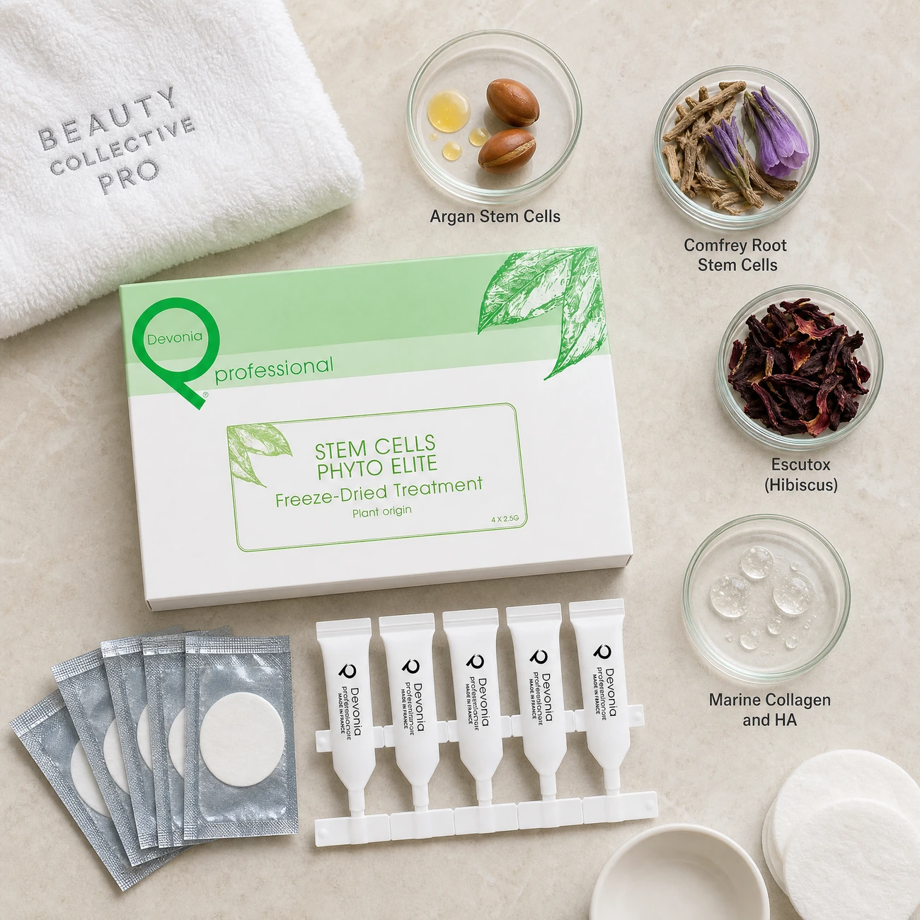Pevonia Stem Cells Phyto-Elite Freeze-Dried Treatment ingredients flatlay with Argan stem cells, Comfrey root stem cells, Escutox hibiscus extract, and marine collagen in clean glass petri dishes for professional B2B education.