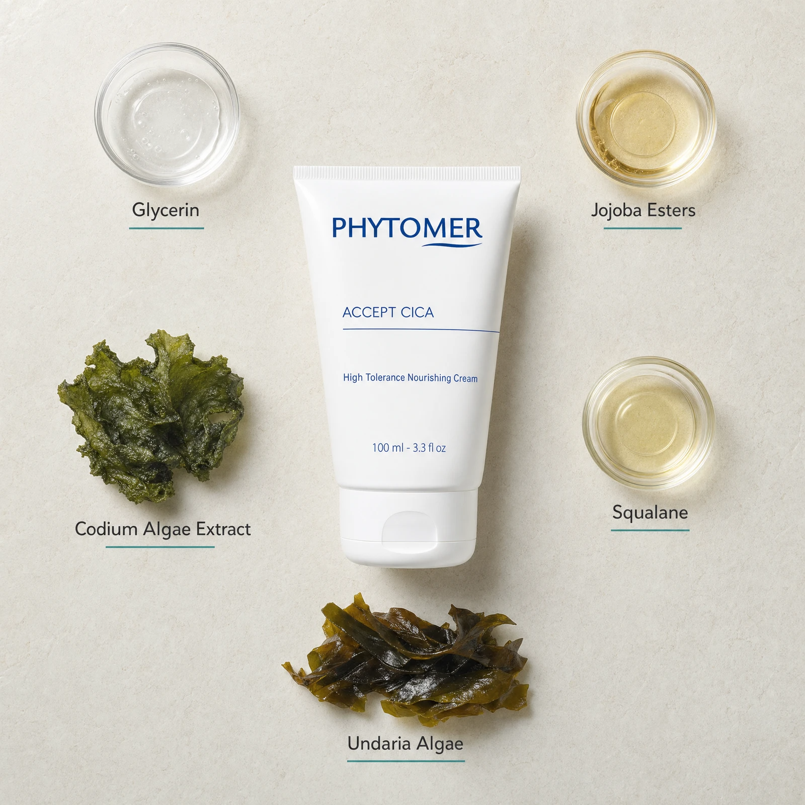 Phytomer Accept Cica High Tolerance Nourishing Cream 100ml flatlay on limestone surface with Glycerin, Jojoba Esters, Codium Algae Extract, Squalane, and Undaria Algae
