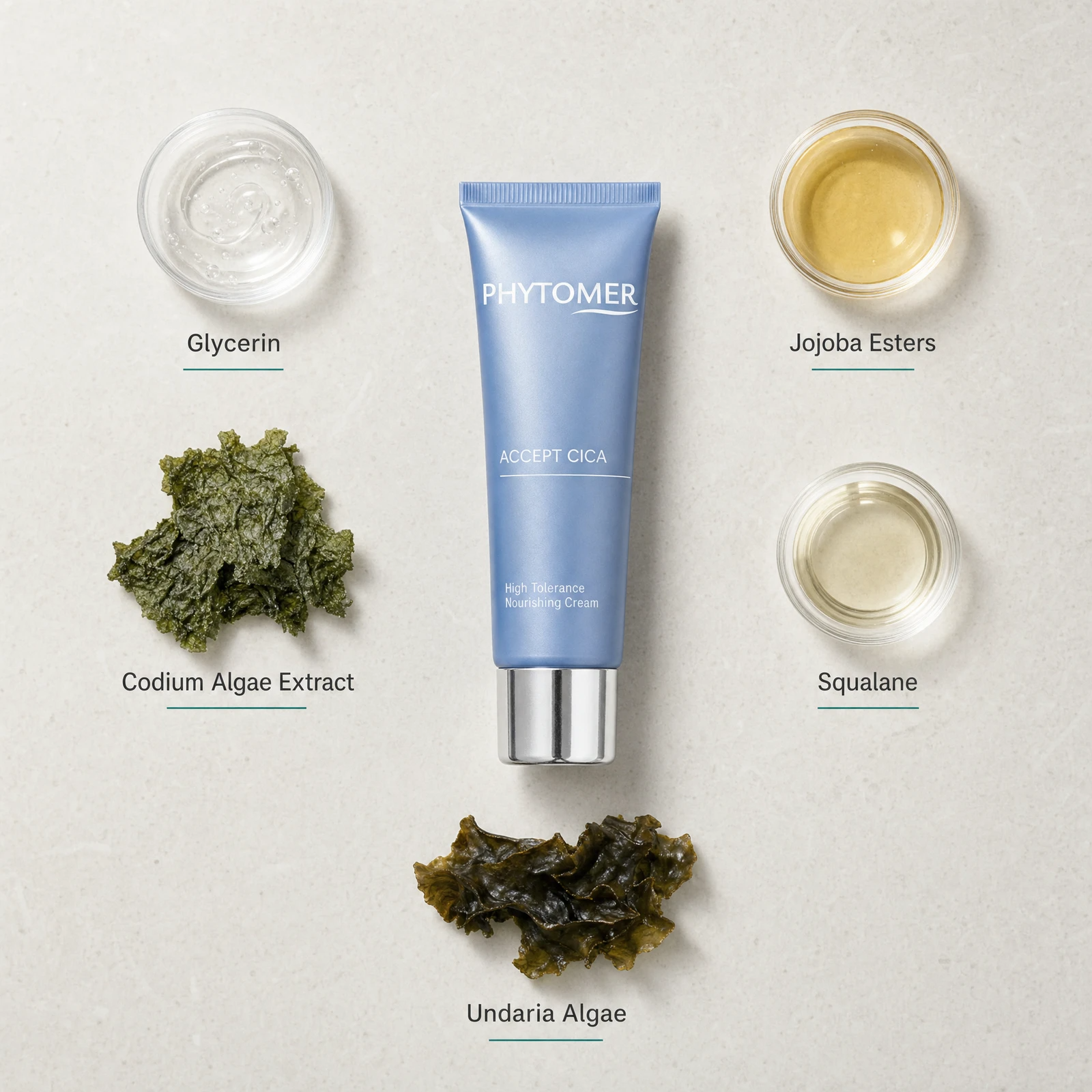 Phytomer Accept Cica High Tolerance Nourishing Cream 50ml flatlay on limestone surface with Glycerin, Jojoba Esters, Codium Algae Extract, Squalane, and Undaria Algae