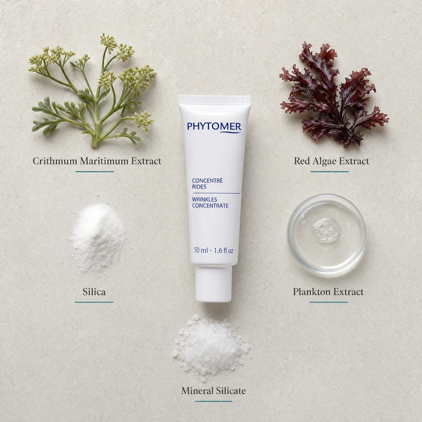 Phytomer Anti-Wrinkles Concentrate 50ml flatlay on limestone surface with Crithmum Maritimum Extract, Red Algae Extract, Silica, Plankton Extract, and Mineral Silicate