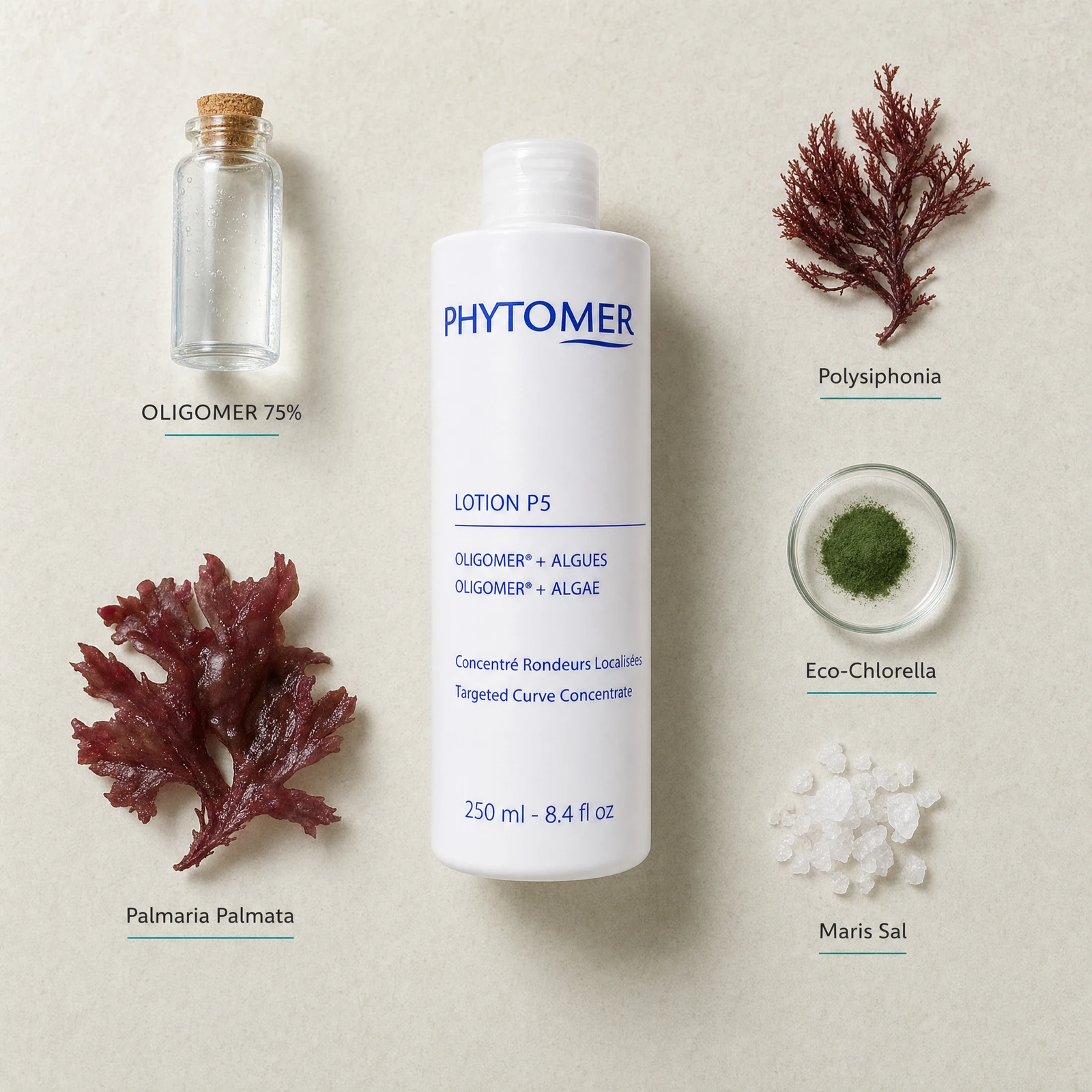 Phytomer Lotion P5 Targeted Curve Concentrate 250ml flatlay with key marine ingredients including OLIGOMER 75%, Polysiphonia red algae, Palmaria Palmata, Eco-Chlorella and Maris Sal