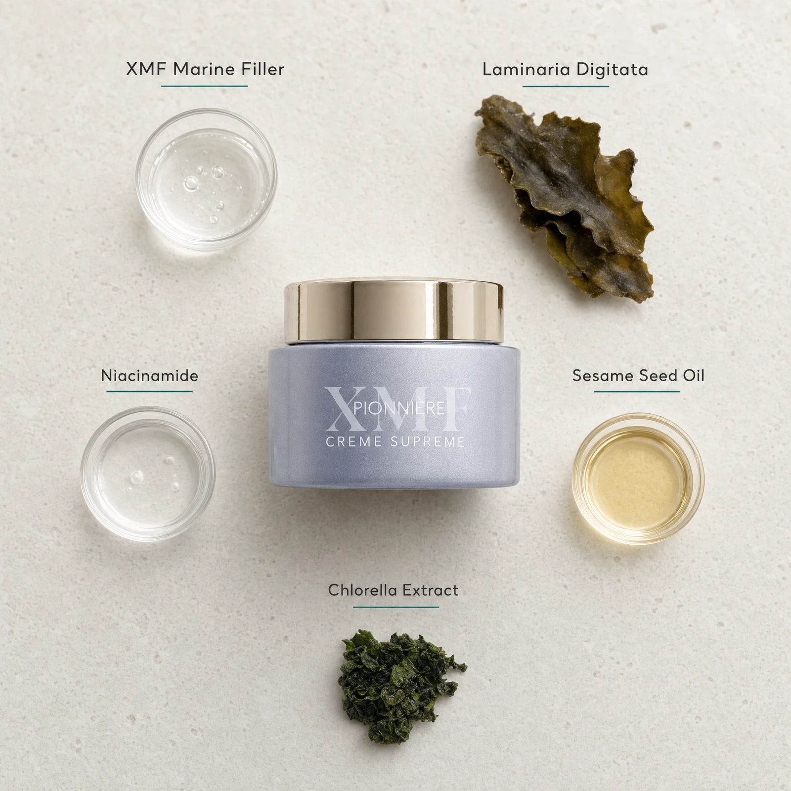 Phytomer Pionniere XMF Youth and Glow Supreme Cream 50ml flatlay on limestone surface with XMF Marine Filler, Laminaria Digitata, Niacinamide, Sesame Seed Oil, and Chlorella Extract