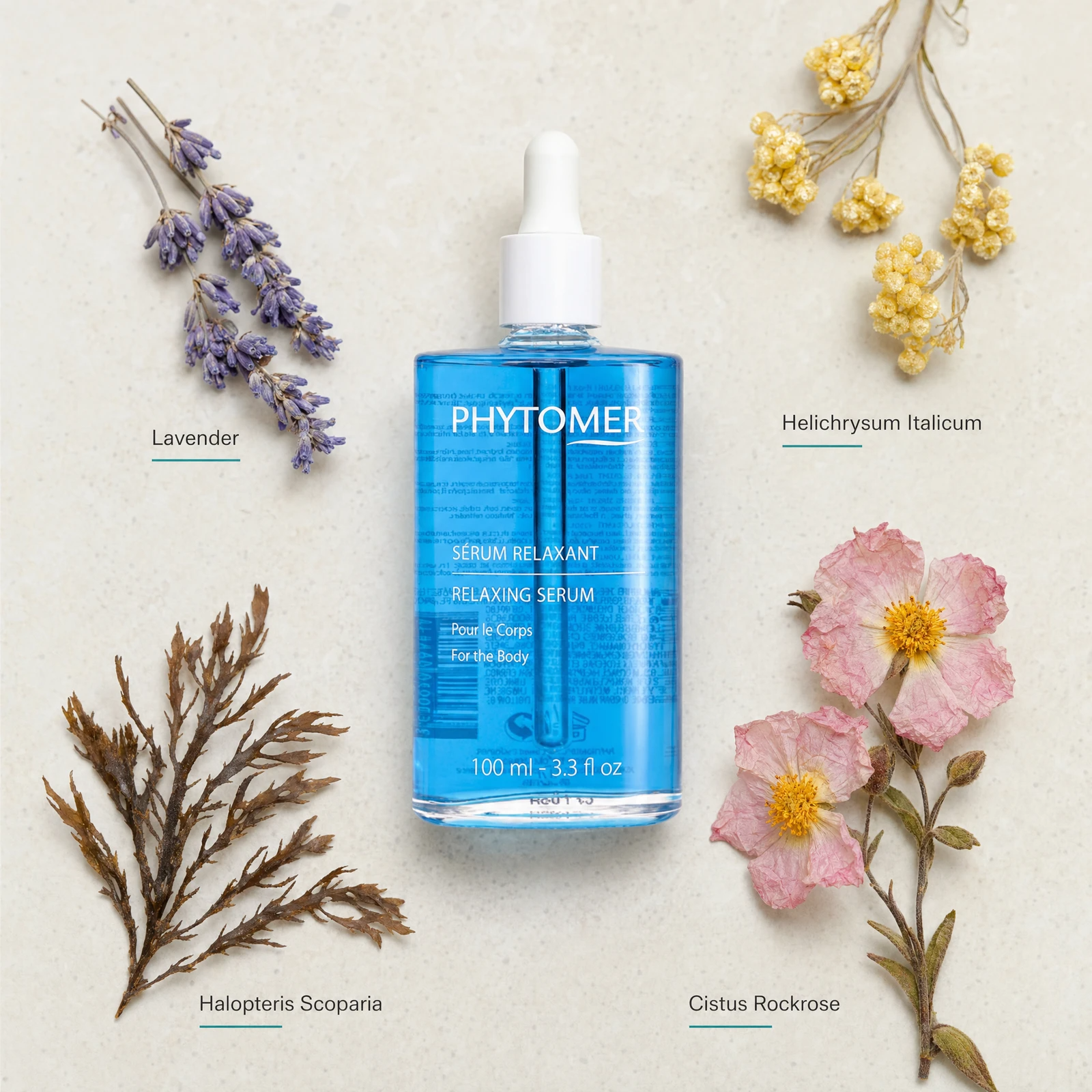 Phytomer Relaxing Serum for the Body 100ml flatlay with key botanical and marine ingredients including Lavender, Helichrysum Italicum, Halopteris Scoparia brown algae and Cistus Rockrose