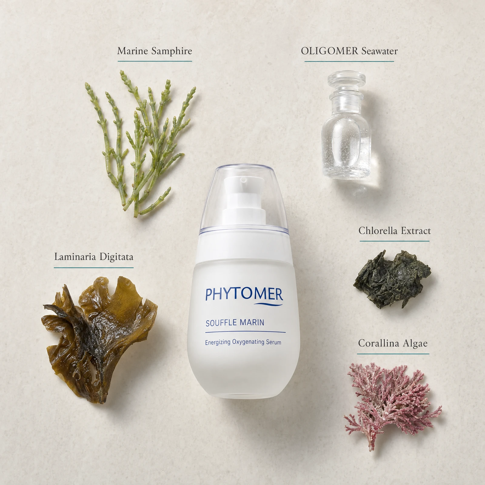 Phytomer Souffle Marin Energizing Oxygenating Serum 30ml flatlay on limestone surface with Marine Samphire, OLIGOMER Seawater, Laminaria Digitata, Chlorella Extract, and Corallina Algae