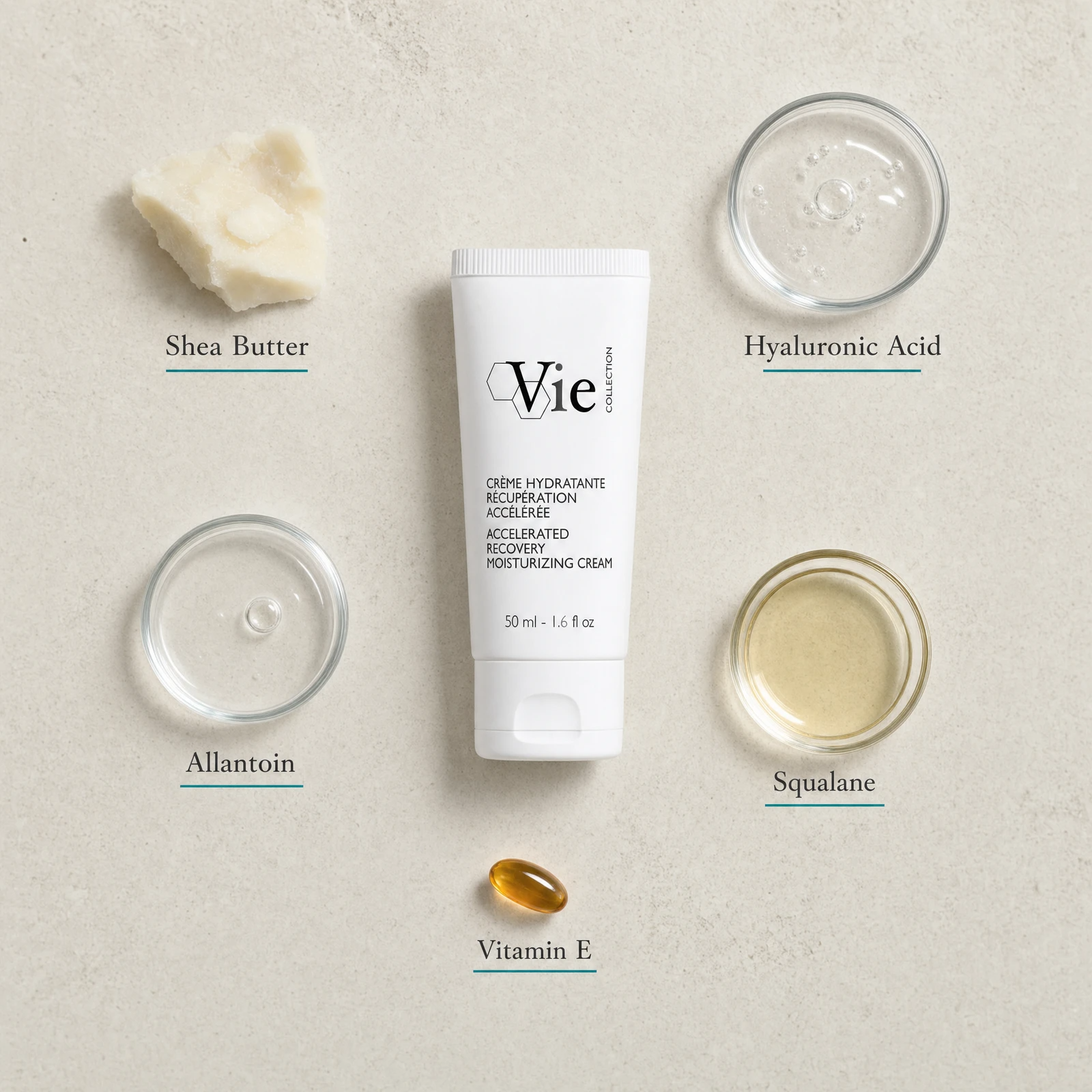Vie Collection Accelerated Recovery Moisturizing Cream 50ml flatlay on limestone surface with Shea Butter, Hyaluronic Acid, Allantoin, Squalane, and Vitamin E